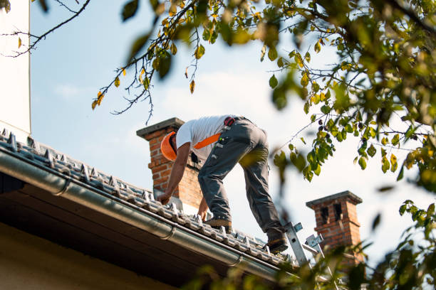Gutter Installation and Roofing in Lake Stevens, WA